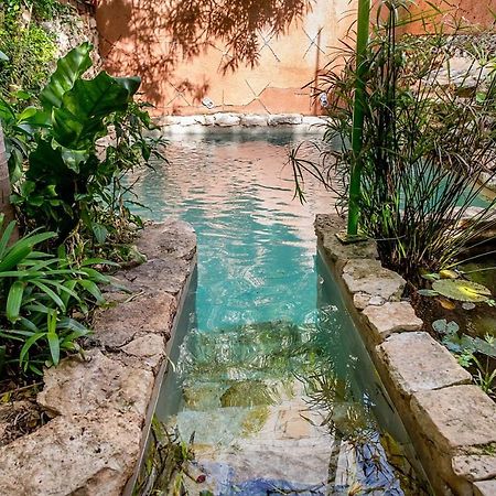 La Selva By Majikal B&B Mérida Dış mekan fotoğraf