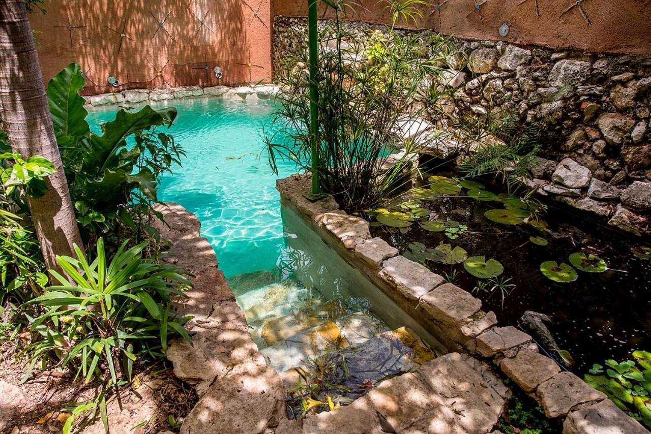 La Selva By Majikal B&B Mérida Dış mekan fotoğraf