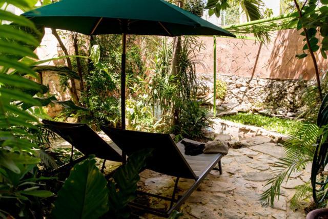 La Selva By Majikal B&B Mérida Dış mekan fotoğraf