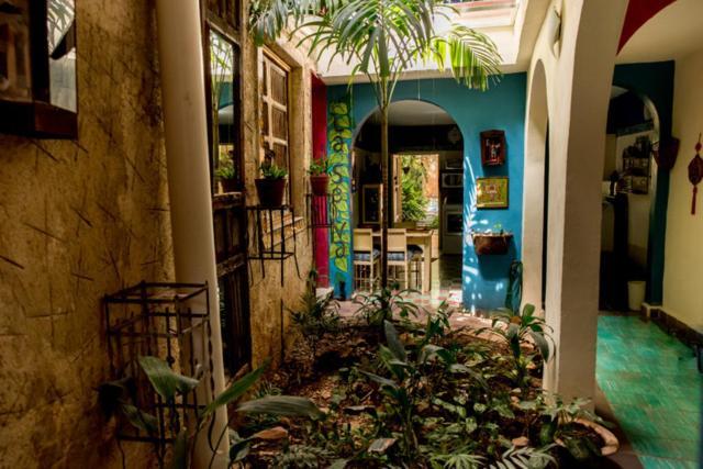La Selva By Majikal B&B Mérida Dış mekan fotoğraf