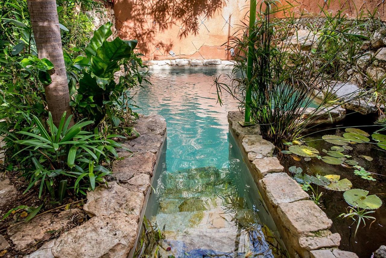 La Selva By Majikal B&B Mérida Dış mekan fotoğraf
