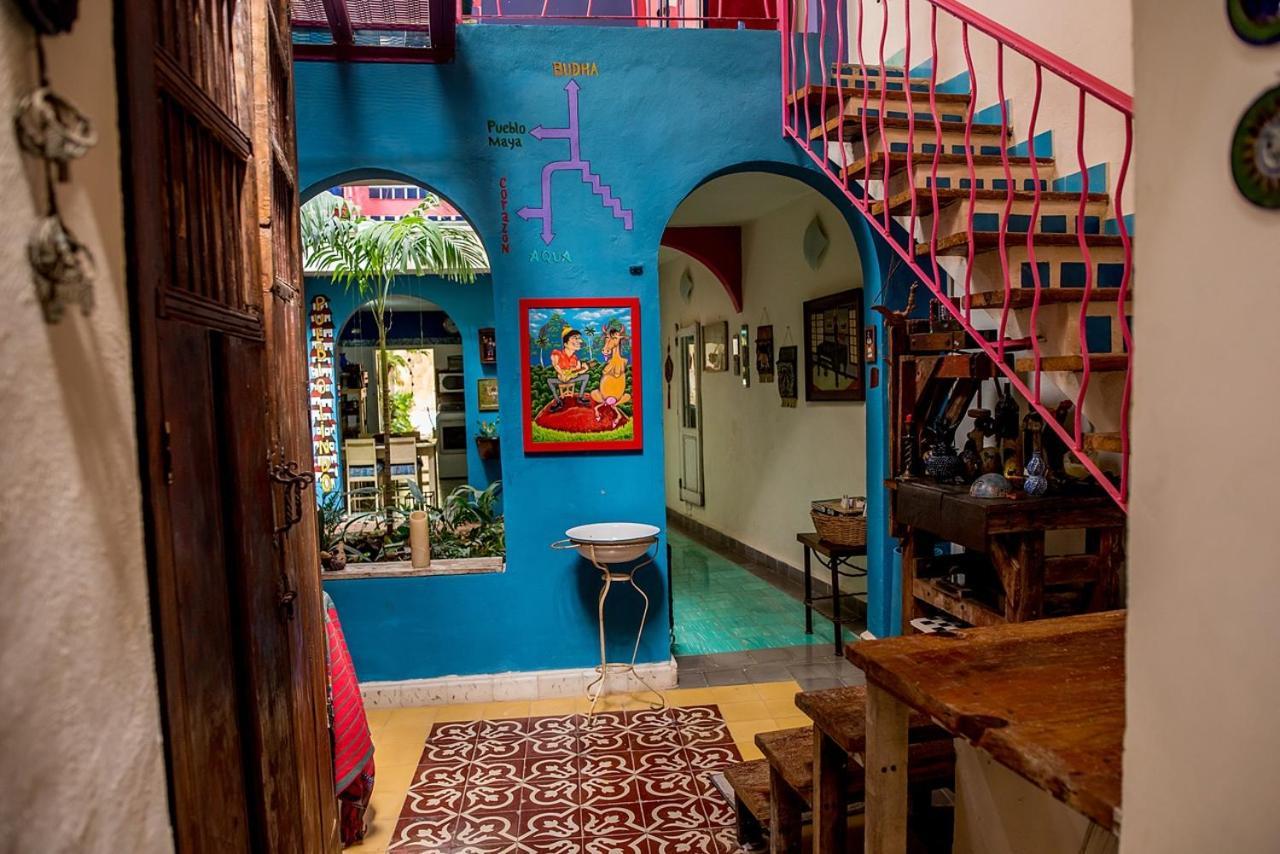 La Selva By Majikal B&B Mérida Dış mekan fotoğraf